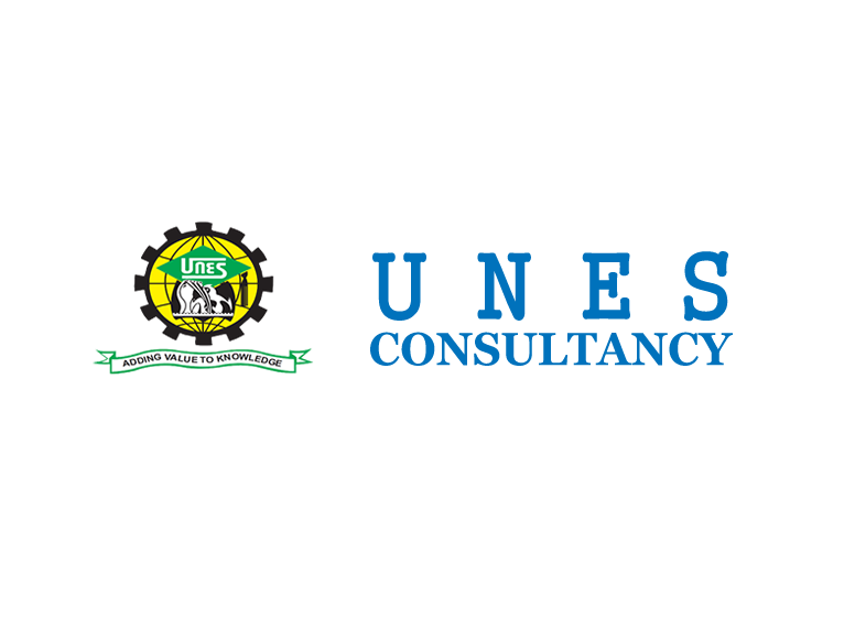 UNES Consultancy
